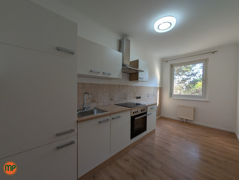 Wohnung - 2320, Schwechat - ruhige 2 Zimmerwohnung: frisch für Sie hergerichtet inkl. neuer Küche