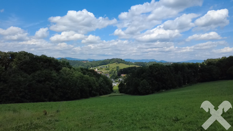 Grundstück - 8302, Nestelbach - Landwirtschaftliche Nutzfläche (ca. 4,5ha) mit Waldanteilen und kleinem Gewässer