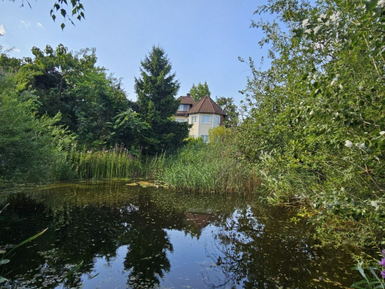 Haus - 2551, Enzesfeld-Lindabrunn - Exklusive Villa mit Schwimmteich und separatem Gäste- bzw. Personalhaus