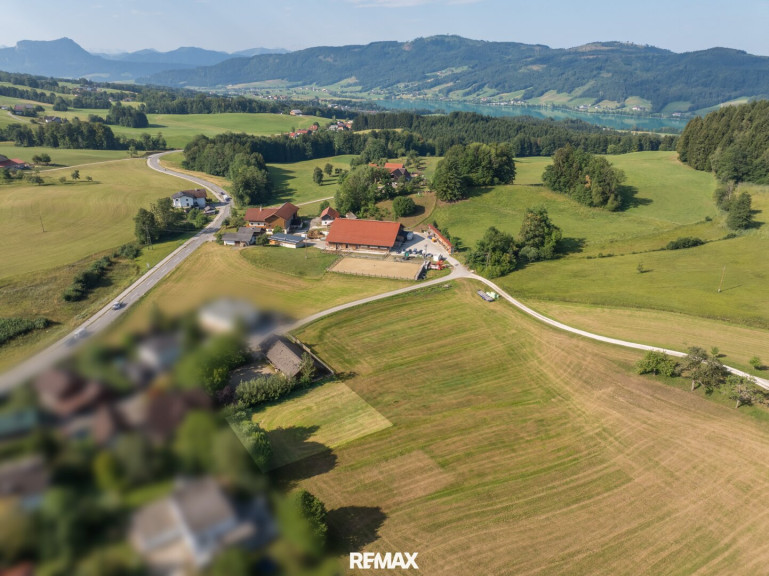 Grundstück - 4893, Greith - Bauherren aufgepasst: Leistbar bauen in traumhafter Lage – rund 1.120 m² Baugrund, fünf Minuten zum Irrsee