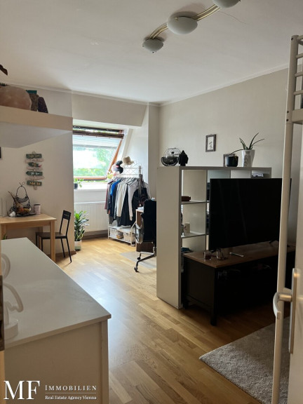 Wohnung - 1180, Wien - 1 Zimmer - Wallrißstrasse Hofruhelage