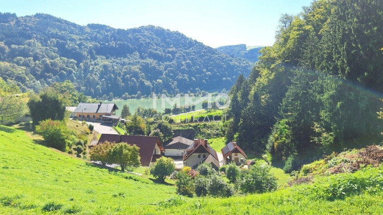 Grundstück - 4381, St. Nikola an der Donau - Baugrund 1.177 m² mit Donaublick - Südhang - mit angrenzenden kleinen Grünland 255 m² - St. Nikola