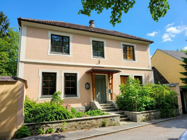 Haus - 3830, Waidhofen an der Thaya - Mehrfamilienhaus in Waidhofen an der Thaya