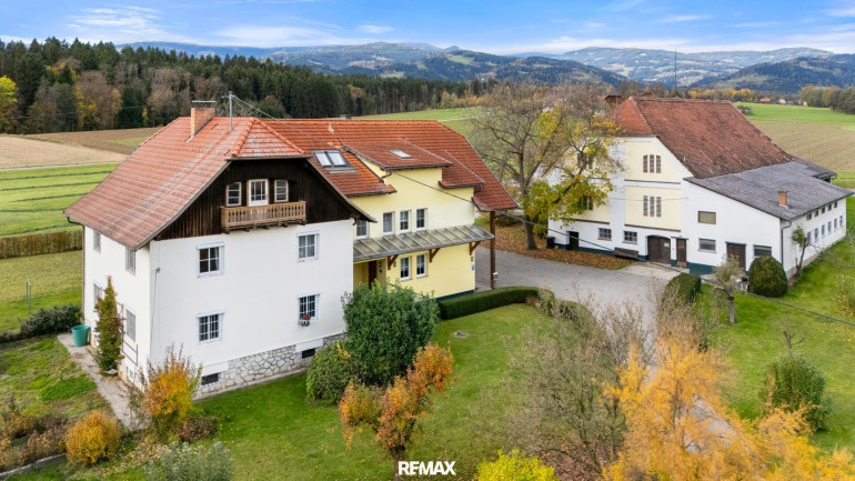Land und Forstwirtschaft - 9431, Reinfelsdorf - Landwirtschaft mit außergewöhnlichem Charakter und umfangreichem Bestand im Lavanttal: zwei Wohnhäuser, Wirtschaftsgebäude, Wald- und Ackerflächen