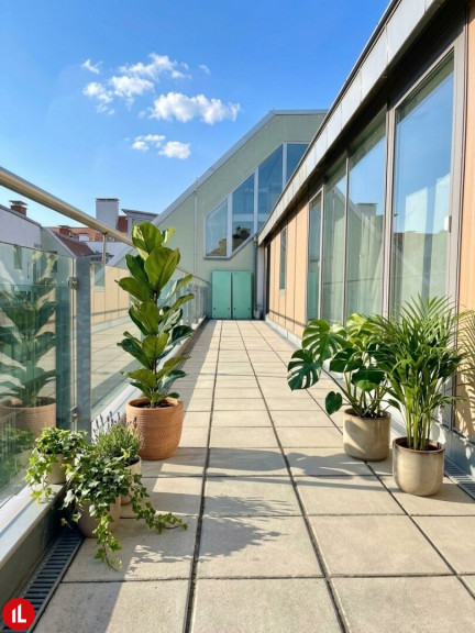 Wohnung - 2500, Baden - NEU | ERSTBEZUG | "LUISE" MODERNES WOHNGEFÜHL IN BADEN
