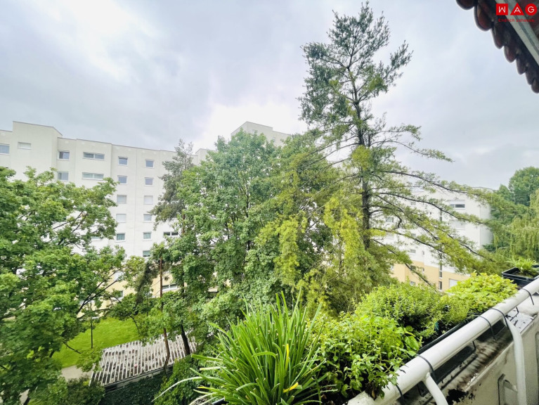 Wohnung - 4020, Linz - Wohnkomfort in der obersten Etage – 2-Zimmer-Wohnung mit geschützter Loggia in Linz/Oed! ACHTUNG Wohnung wird soeben saniert! Bezug 01. September 2026!