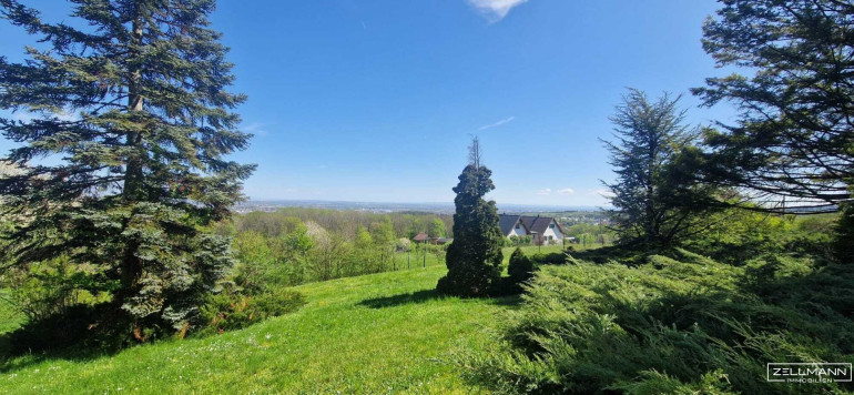 Grundstück - 2380, Perchtoldsdorf - Seltene Gelegenheit: Winzerhaus auf uneinsehbarem Grundstück | ZELLMANN IMMOBILIEN