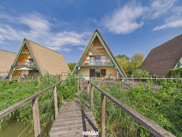 Haus - 7083, Purbach am Neusiedler See - Wohnen im Einklang mit der Natur - Charmantes Miethaus mit 100m² Sonnenterrasse mitten im Naturschutzgebiet