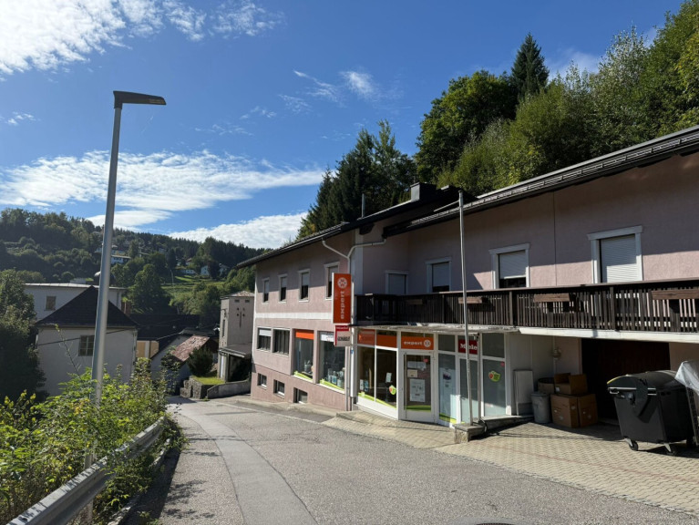 Zinshaus Renditeobjekt - 4184, Helfenberg - MÖGLICHKEIT - Preis/Leistung unschlagbar - Ertragsliegenschaft gemischt mit Gewerbe und Wohnungseigentum - bestandsfrei (2 Wohnungen + ein Geschäft)