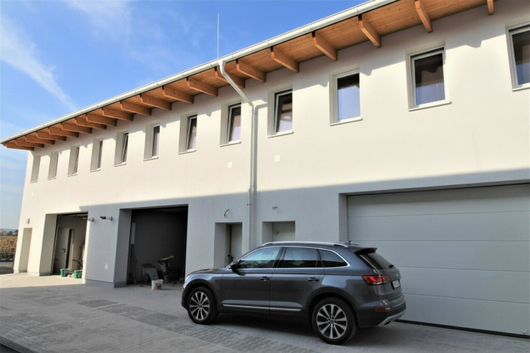 Halle / Lager / Produktion - 2201, Gerasdorf bei Wien - VIELSEITIG NUTZBAR / FLEXIBLE FLÄCHE / LAGER