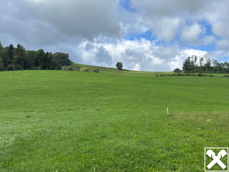 Grundstück - 4542, Dauersdorf - Landwirtschaftliche Nutzfläche und Wiese