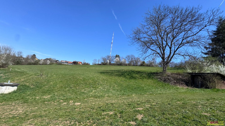 Grundstück - 8143, Dobl - 1.219 m² Bauland in ruhiger Lage in Dobl bei Graz.