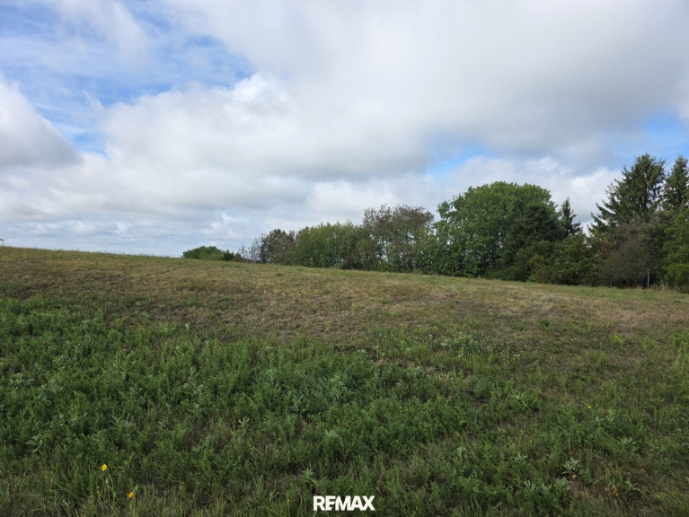 Grundstück - 7461, Stadtschlaining - Landwirtschaftliche Grundstücke samt Wald in Stadtschlaining