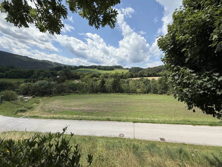 Grundstück - 2833, Bromberg - Bromberg am Beginn der Buckligen Welt: Neuparzellierung - sonnige Baugrundstücke in leichter Hanglage!
