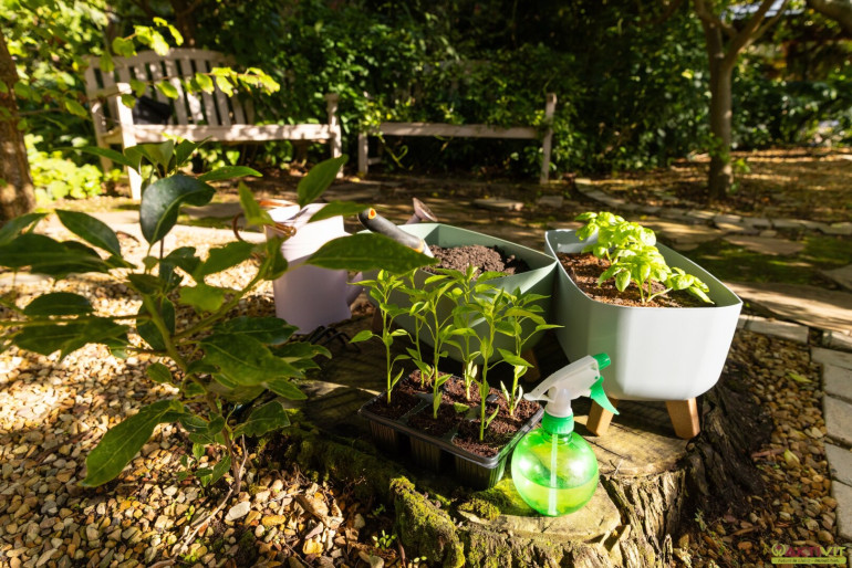Grundstück - 8055, Graz - Kleingarten zur Pacht. - Neue Gartenanlage in Planung: Jetzt vormerken lassen!