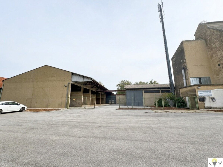 Halle / Lager / Produktion - 7123, Mönchhof - Großer Gewerbegrund mit Lagerhallen, Silos und vielseitigem Potenzial in Mönchhof