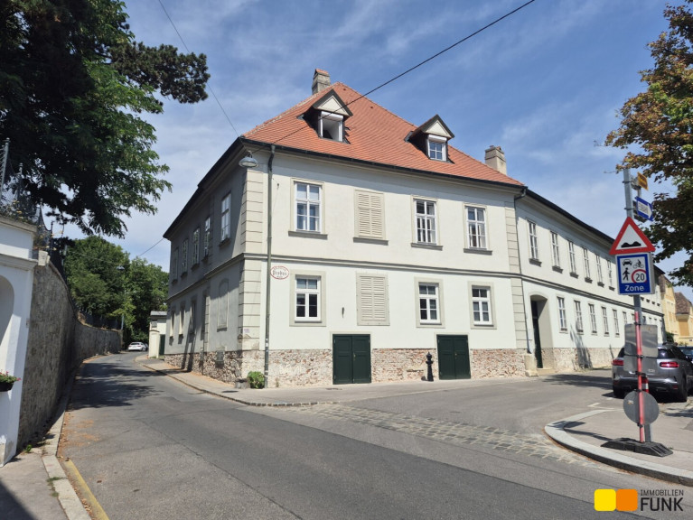Büro / Praxis - 1190, Wien - Altbau-Büro in Grinzing