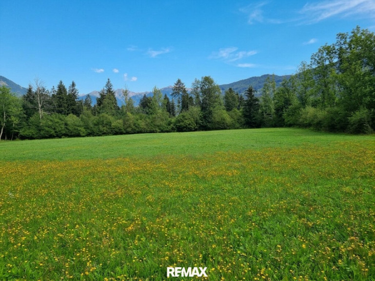 Grundstück - 9753, Kleblach - Schöne Grünlandfläche in der Gemeinde Kleblach/Lind