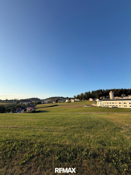 Grundstück - 4150, Rohrbach - Attraktive Grundstücke mit Potential in Zentrumsnähe!