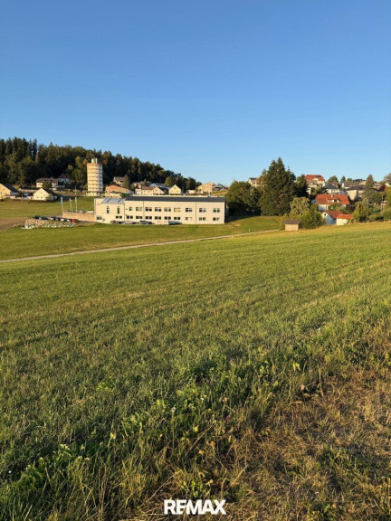 Grundstück - 4150, Rohrbach - Attraktives Grundstück mit Potential in Zentrumsnähe!