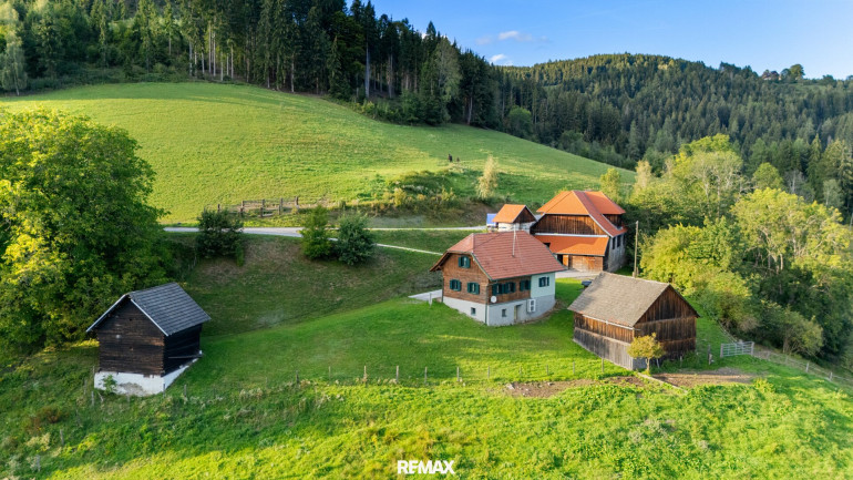 Land und Forstwirtschaft - 9342, Gruska - Rund 17 Hektar Freiheit – ein eigener Besitz von seltener Größe, eingebettet in die Kärntner Natur