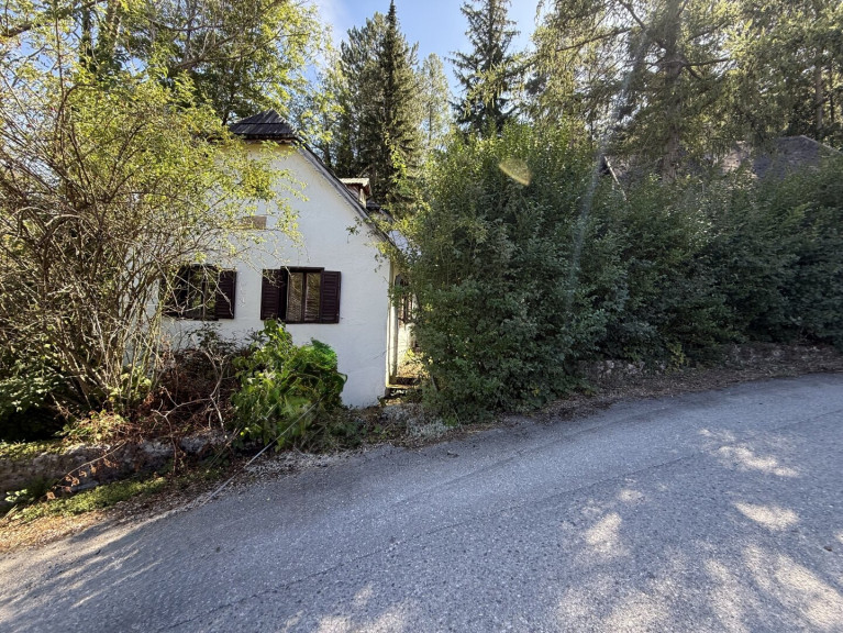 Haus - 2761, Miesenbach - Miesenbach im Piestingtal, Ruhelage - zwei renovierungsbedürftige, unfertige Häuser in erhöhter Streusiedlung
