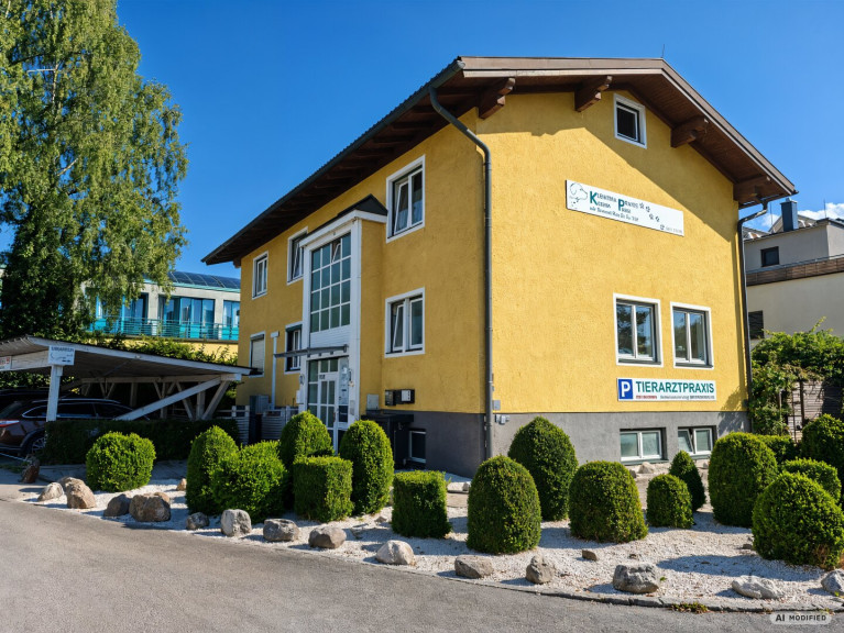 Haus - 5026, Salzburg - Gepflegtes Zweifamilienhaus in Salzburg-Aigen mit befristet vermieteter Tierarztpraxis - Kaufpreis auf Anfrage
