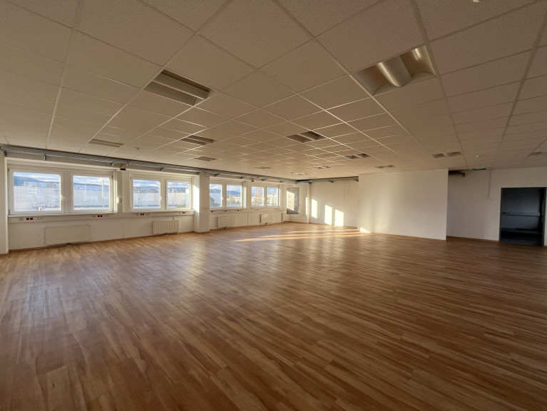 Büro / Praxis - 2351, Wiener Neudorf - Büro- und Lagerflächen in 2351 Wiener Neudorf zu mieten