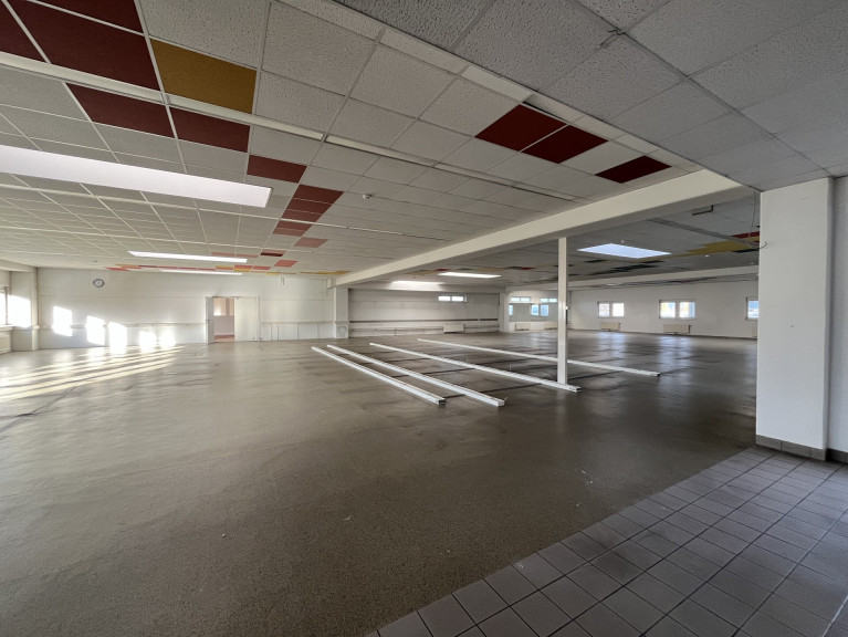 Büro / Praxis - 2351, Wiener Neudorf - Büro- und Lagerflächen in 2351 Wiener Neudorf zu mieten