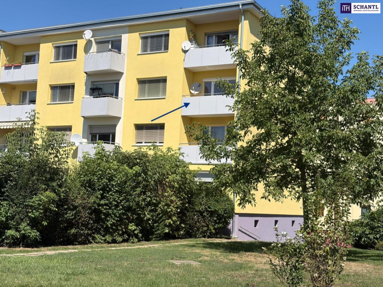 Wohnung - 8052, Graz - GRÜNBLICK. SONNENLAGE. WERTBESTÄNDIGKEIT. | Traumhafte neu sanierte 2-Zimmer-Wohnung in Eggenberg, Nähe FH Joanneum