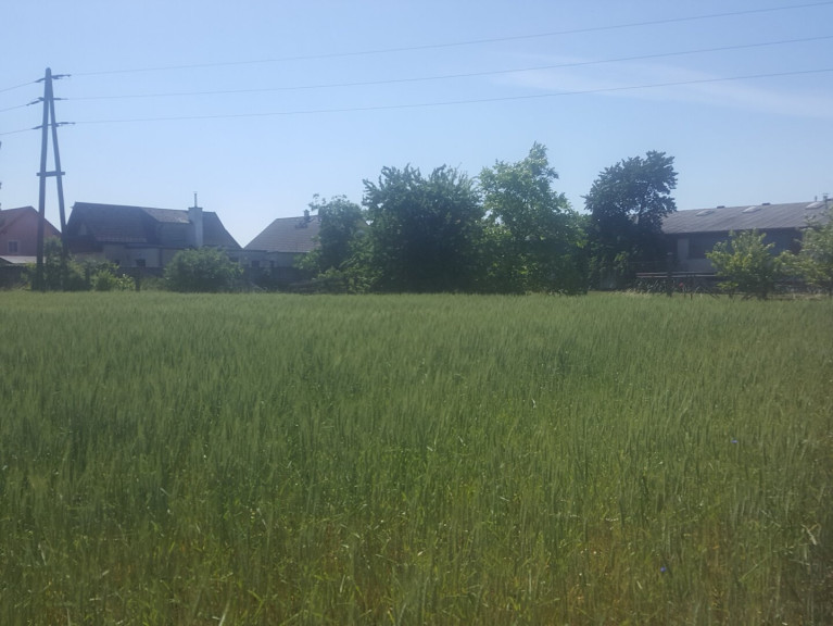 Grundstück - 2201, Hagenbrunn - BETRIEBSBAUGRUNDSTÜCKE IM INDUSTRIEGEBIET SEYRING (10.433m²)..