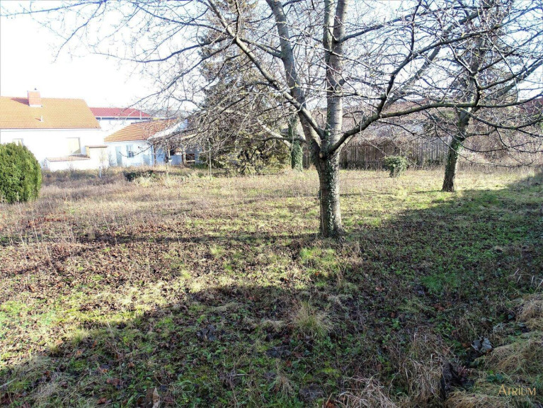 Grundstück - 2320, Schwechat - Großes Baugrundstück mit Altbestand in Mannswörth - AUCH FÜR BAUTRÄGER GEEIGNET! (2.230m²)..