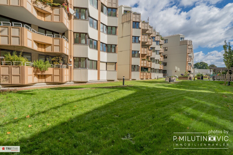 Wohnung - 1130, Wien - NEU in Hietzing +++ Sonnig, südseitig & hofseitig +++ Ruhige 3-Zimmer-Wohnung mit Loggia +++ Zwischen U4 Stationen Ober St. Veit und Unter St. Veit++
