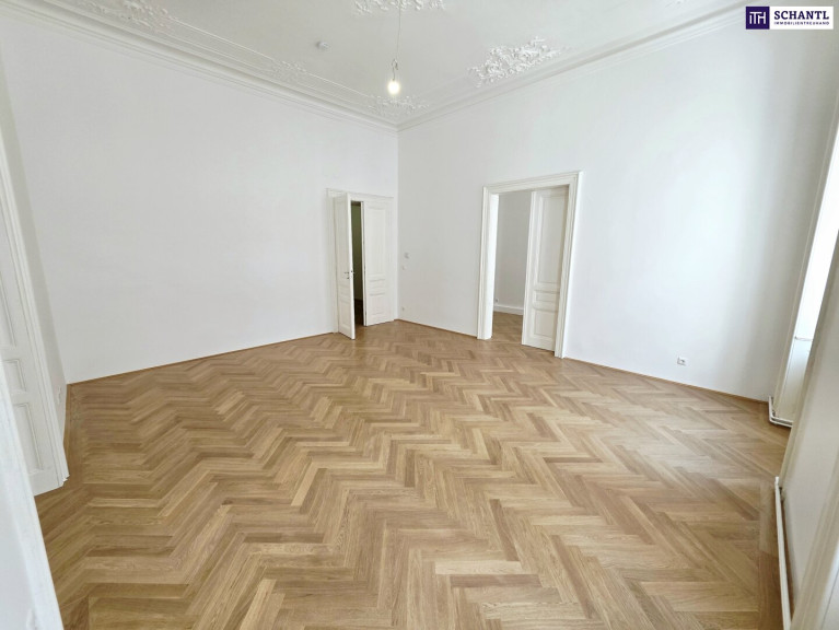 Wohnung - 1090, Wien - Altbauflair in 1090 Wien mit viel Platz! 5 Zimmer + Stuck + Flügeltüren + Traumhaftes Altbauhaus + Hohe Räume + Tolle Lage beim Liechtensteinpark + Beste Infrastruktur!