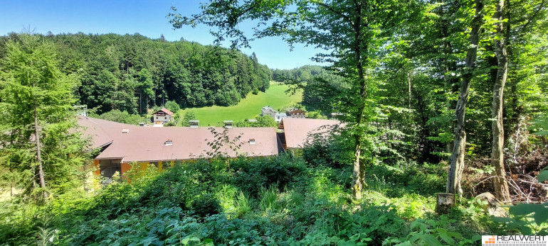 Grundstück - 5322, Hof bei Salzburg - Naturliebhaber - Grundstück mit Erweiterungspotential / Hof bei Salzburg