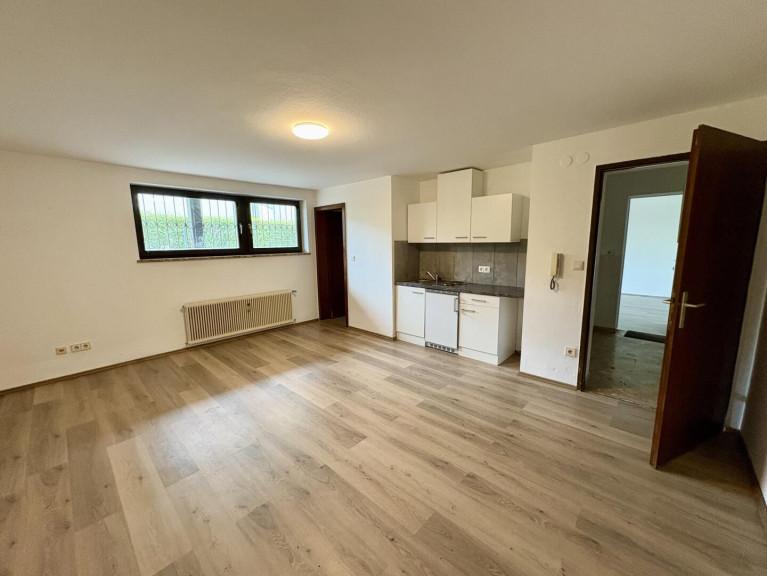 Halle / Lager / Produktion - 8043, Graz - ab 1.1.2027 Atelier- Lager im Untergeschoss- in ruhigem Wohnhaus mit Parkplatz - Kein Proberaum!!!