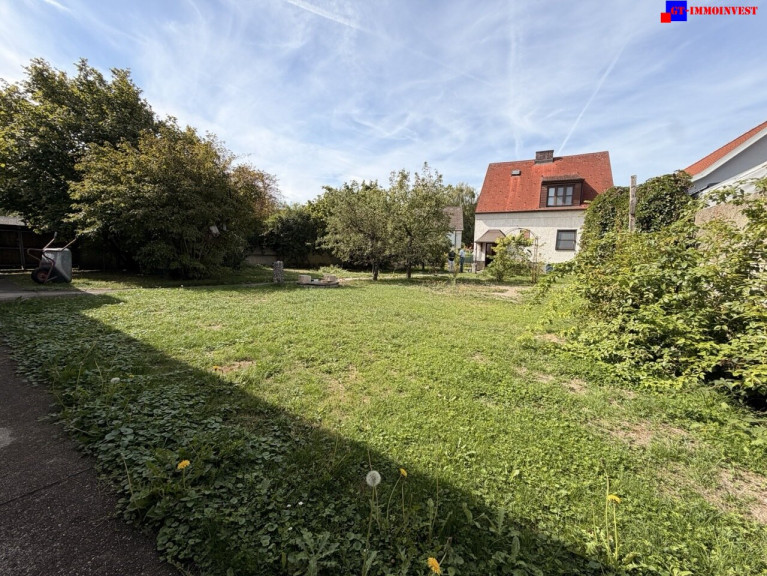 Haus - 2492, Zillingdorf - Zillingdorf - Gepflegtes Einfamilienhaus mit schönem Garten und Altbaumbestand!