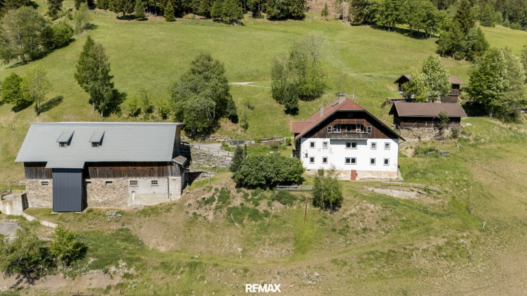 Land und Forstwirtschaft - 9863, Rennweg am Katschberg - Exklusives Landgut am Katschberg – 32 Hektar Natur und grenzenlose Möglichkeiten