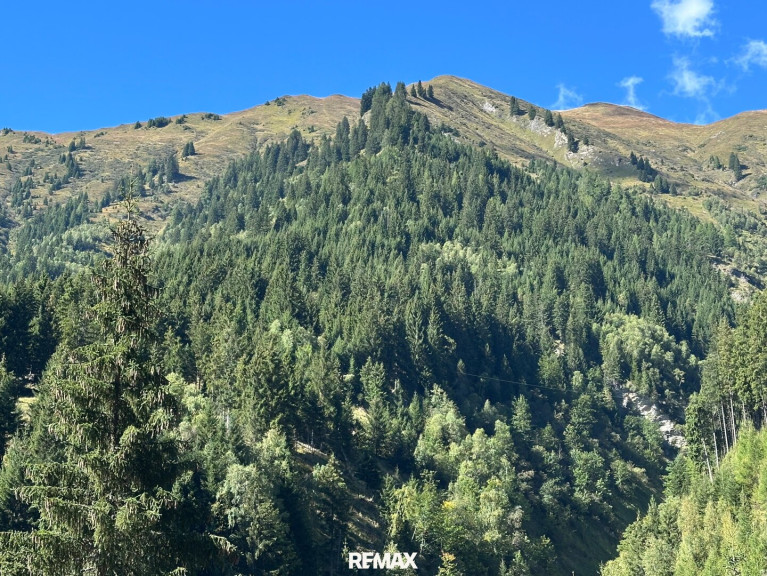 Grundstück - 5612, Hüttschlag - Waldgrundstück in Hüttschlag – ca. 40.000 m² Natur & Wert