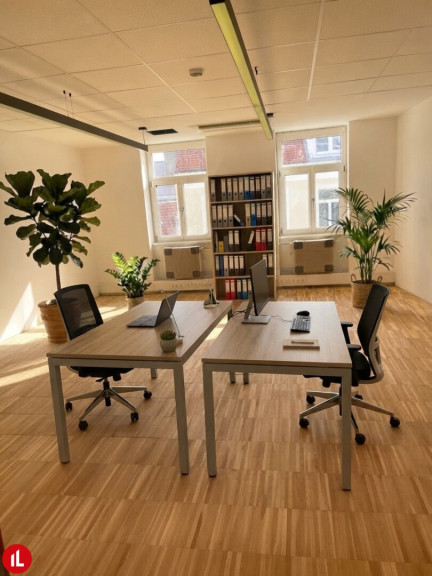 Büro / Praxis - 2500, Baden - NEU | ERSTBEZUG | REPRÄSENTATIVE BÜROFLÄCHE "MANDELBLÜTE" IN BADEN
