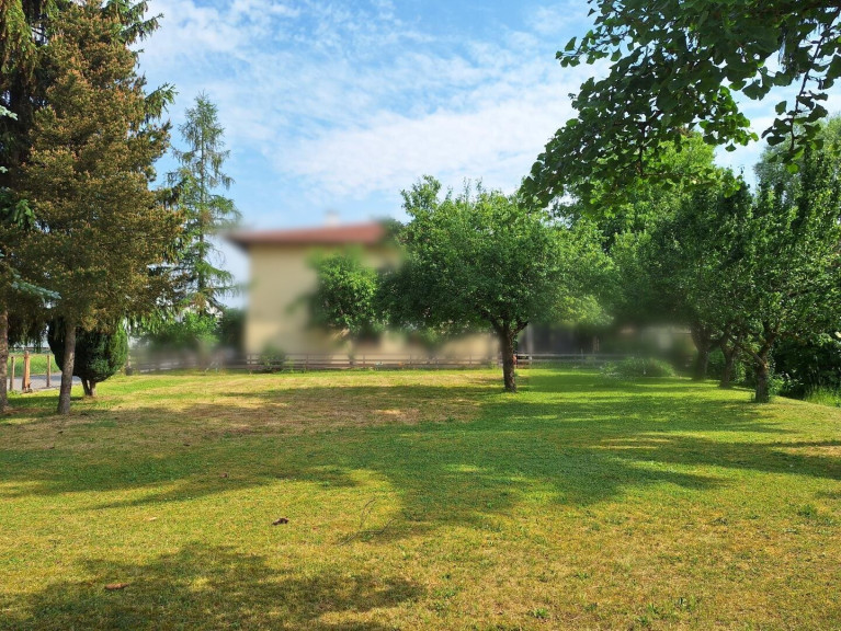 Grundstück - 4210, Gallneukirchen - Baugrund mit Obstgarten und Baumbestand – Zentrum, Schule und Nahversorgung zu Fuß erreichbar