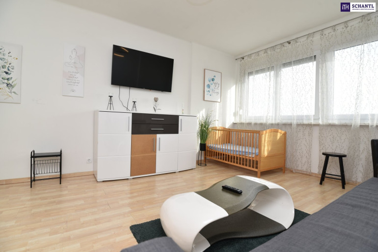 Wohnung - 8020, Graz,05.Bez.:Gries - Über den Dächern schweift der Blick der Sonne entgegen!