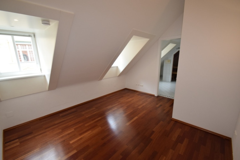 Wohnung - 1030, Wien - Penthouse auf einer Etage mit Dachterrasse beim Schwarzenbergplatz |privater Liftausstieg |absolute Ruhelage