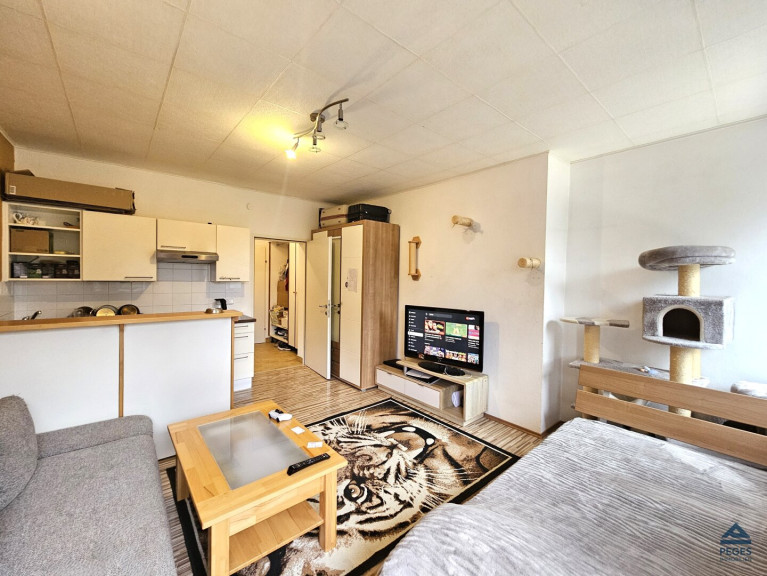 Wohnung - 5082, Grödig - SINGLE: Garconniere in Grödig