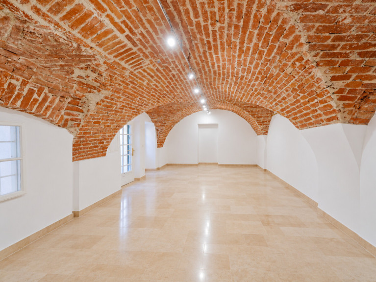 Büro / Praxis - 2340, Mödling - Charaktervolle Geschäftsfläche in der Fußgängerzone von Mödling!