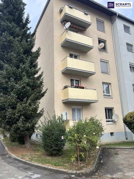 Wohnung - 8045, Graz,12.Bez.:Andritz - GO TO ANDRITZ! TOLLE UND HELLE DREIZIMMERWOHNUNG mit BALKON ++ABSOLUTE RUHELAGE++PARKPLATZ++