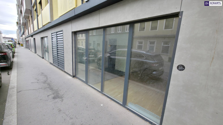 Büro / Praxis - 1180, Wien - Attraktives Geschäftslokal in Toplage des 18. Bezirks – Schlüsselfertiger Erstbezug nahe AKH!