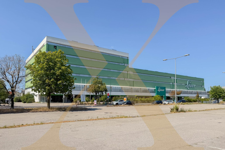 Halle / Lager / Produktion - 4600, Wels - Großflächige Gewerbeliegenschaft mit Verkaufs-, Lager- und Büroflächen in Wels zu vermieten!