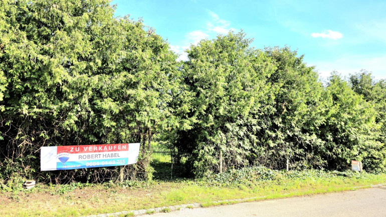 Grundstück - 7122, Gols - GOLS - Baugrundstück, Burgenland – Eigenheim-Traum