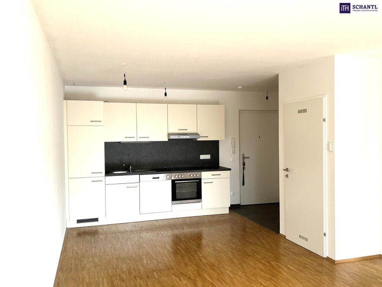 Wohnung - 8020, Graz - Kuschelig, zentral, sofort frei – Wohnung mit Ostbalkon in Graz